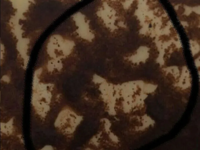 Запись на прием к гадалке в Усолье-Сибирском